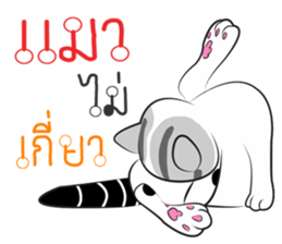 Platoo funny cat sticker #14802406