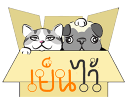 Platoo funny cat sticker #14802407