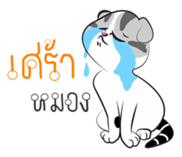 Platoo funny cat sticker #14802411