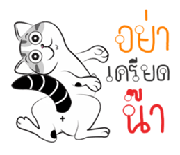 Platoo funny cat sticker #14802412