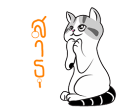 Platoo funny cat sticker #14802413