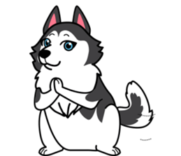 Lovely siberian husky dog sticker #14803191