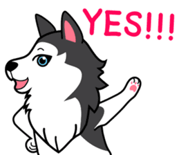 Lovely siberian husky dog sticker #14803193