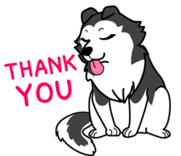 Lovely siberian husky dog sticker #14803197