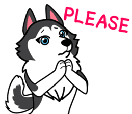 Lovely siberian husky dog sticker #14803201