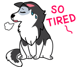 Lovely siberian husky dog sticker #14803203
