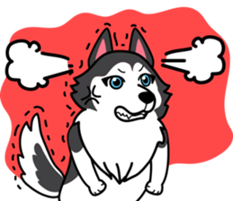 Lovely siberian husky dog sticker #14803207