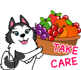 Lovely siberian husky dog sticker #14803210