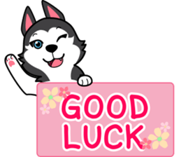 Lovely siberian husky dog sticker #14803211
