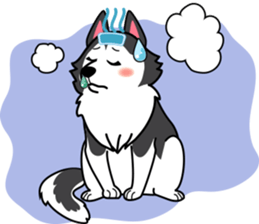 Lovely siberian husky dog sticker #14803219