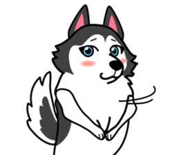 Lovely siberian husky dog sticker #14803221