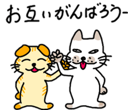 The Nyanko Collection sticker #14804559