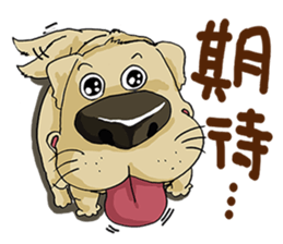 MECO go2 sticker #14804714