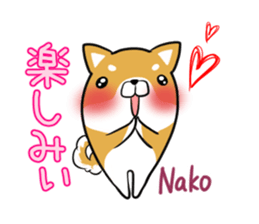 NAKO's exclusive sticker sticker #14806280