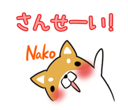 NAKO's exclusive sticker sticker #14806284
