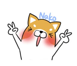 NAKO's exclusive sticker sticker #14806300
