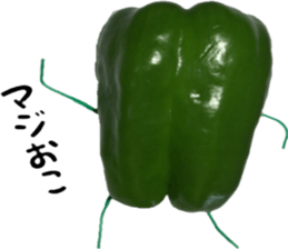 Green peppers talk(Youth words) sticker #14808927