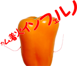 Green peppers talk(Youth words) sticker #14808931