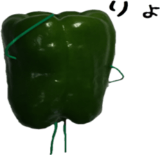 Green peppers talk(Youth words) sticker #14808936
