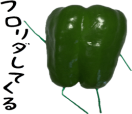 Green peppers talk(Youth words) sticker #14808937