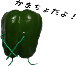 Green peppers talk(Youth words) sticker #14808939