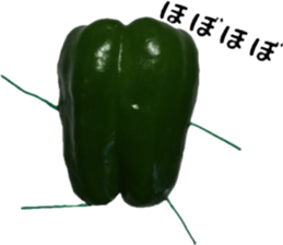 Green peppers talk(Youth words) sticker #14808947