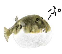 Cute Wild Animals sticker #14810097