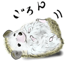 Cute Wild Animals sticker #14810099