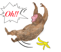 Cute Wild Animals sticker #14810100