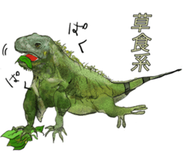 Cute Wild Animals sticker #14810108