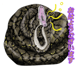 Cute Wild Animals sticker #14810115