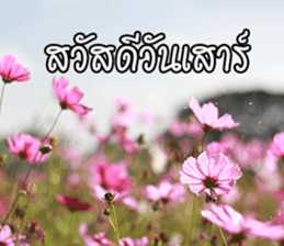 Hello Everyday [TH] sticker #14810131