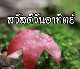 Hello Everyday [TH] sticker #14810132