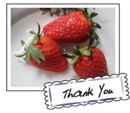 Fruit photo greeting card sticker #14810387