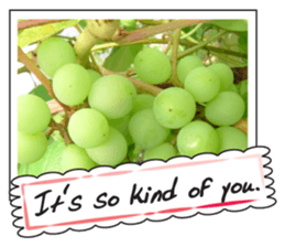 Fruit photo greeting card sticker #14810388