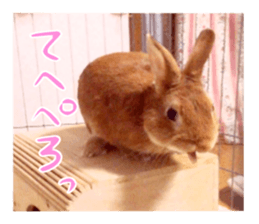 PEACH THE RABBIT USAGI NEW sticker #14811196