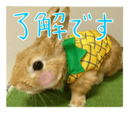 PEACH THE RABBIT USAGI NEW sticker #14811207