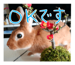 PEACH THE RABBIT USAGI NEW sticker #14811218