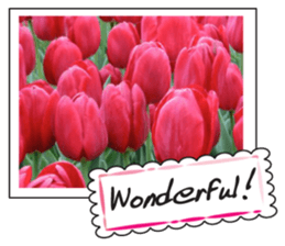 Beautiful Tulips sticker #14811702