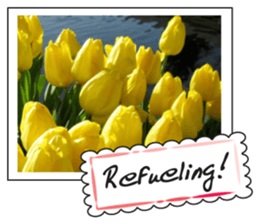 Beautiful Tulips sticker #14811703
