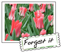 Beautiful Tulips sticker #14811712