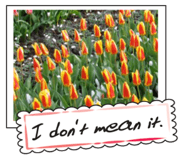 Beautiful Tulips sticker #14811716
