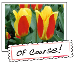 Beautiful Tulips sticker #14811719