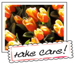Beautiful Tulips sticker #14811722