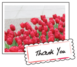 Beautiful Tulips sticker #14811725