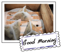 Breakfast series sticker #14811820