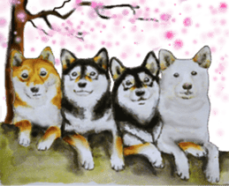 Shiba inu Sisters and friends - 5 sticker #14812252