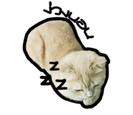 MeowZl sticker #14812527