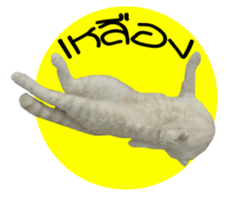 MeowZl sticker #14812528