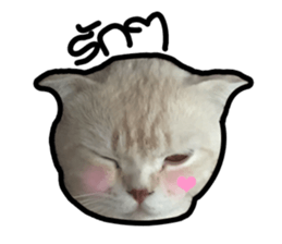 MeowZl sticker #14812531